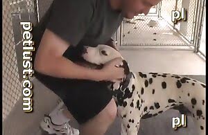 Anh chàng quái dị đụ một con chó trông có vẻ hạnh phúc